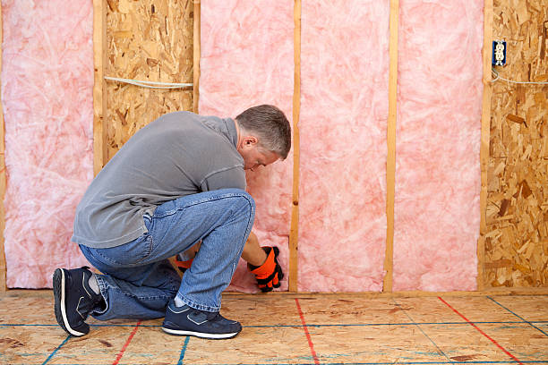 Best Commercial Insulation Services  in Stevenson Ranch, CA